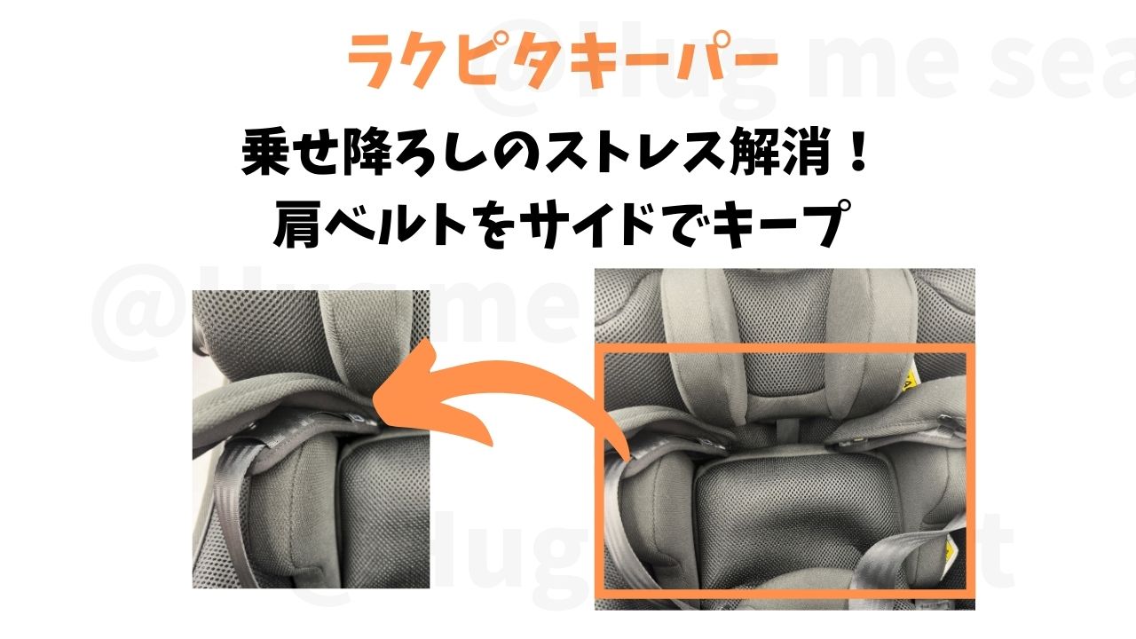 THES ZFのラクピタキーパー